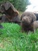 juno with mum.jpg
