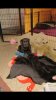 rps20160220_093527.jpg