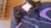 rps20160220_100515.jpg