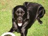 DSC03210a.jpg