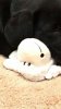 rps20161212_194441.jpg