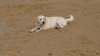 IMG-20161204-WA0033.jpg