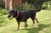 small IMG_1166.jpg