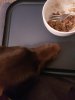 rps20170411_194924.jpg