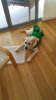 20161209_185150_resized.jpg
