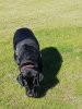 IMG_20170805_3316.jpg