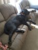 IMG_20170822_45173.jpg