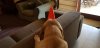 20171021_134116 s.jpg