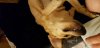 20180124_213816s.jpg