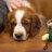 Flynn